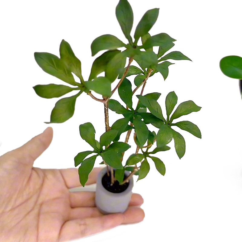Bonsai Garden Ideas - Dollhouse Miniature Modelo de Plantas em