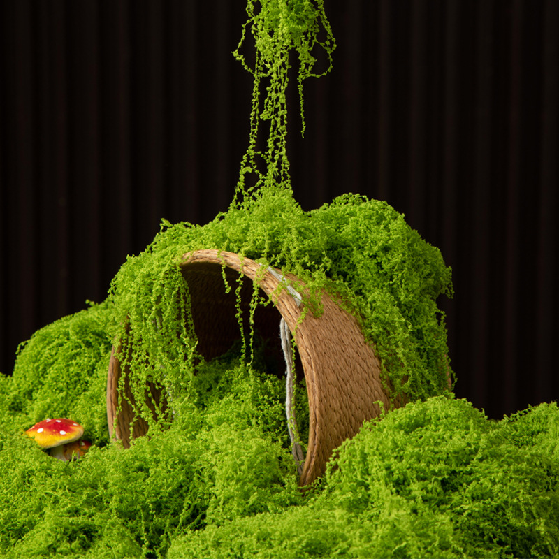 Bonsai Garden Ideas - Musgo da Vida Eterna 200g para