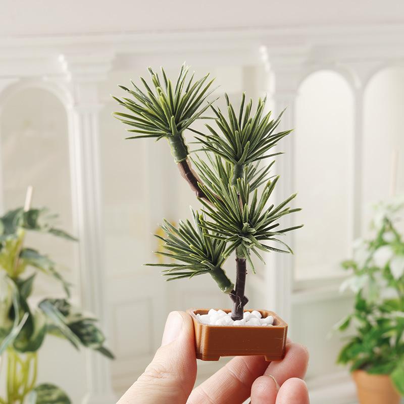 Bonsai Garden Ideas - 1 Peça de Árvore de Pinheiro