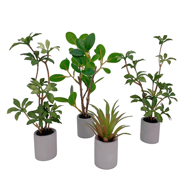 Dollhouse Miniature Modelo de  - Bonsai Garden Ideas avaliação e preço