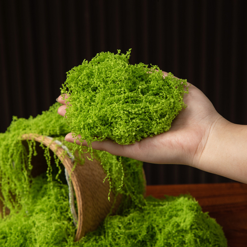 Musgo da Vida Eterna 200g para - Bonsai Garden Ideas avaliação e preço