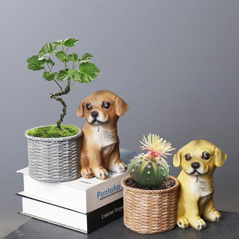 Casa sala de estar escritório  - Bonsai Garden Art avaliação e preço