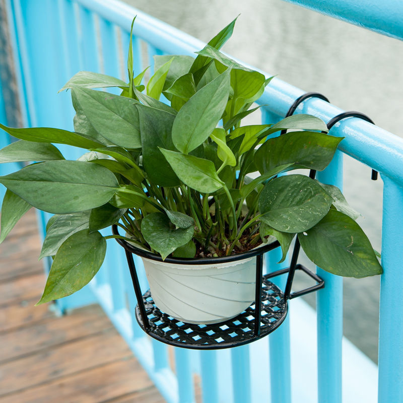1PC Suporte de Jardim para Vas - Bonsai Garden Art avaliação e preço