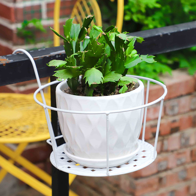 1PC Suporte de Jardim para Vas - Bonsai Garden Art avaliação e preço