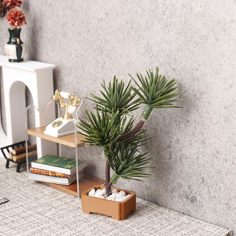 1 Peça de Árvore de Pinheiro S - Bonsai Garden Ideas avaliação e preço