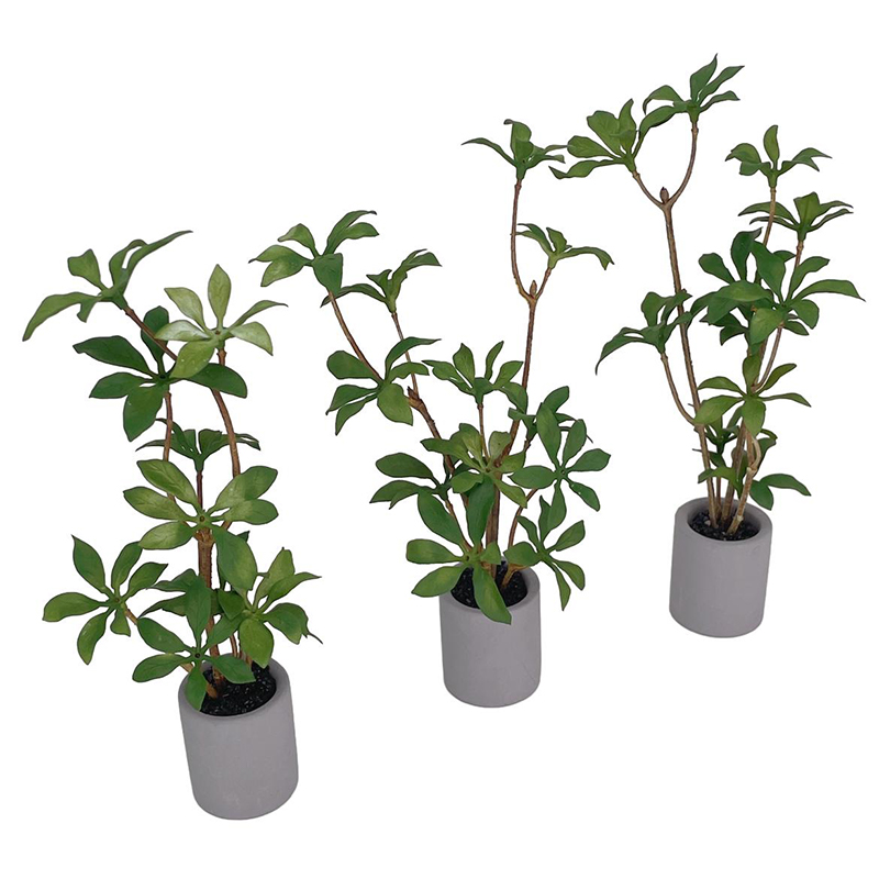 1:6 casa de bonecas em miniatu - Bonsai Garden Ideas avaliação e preço