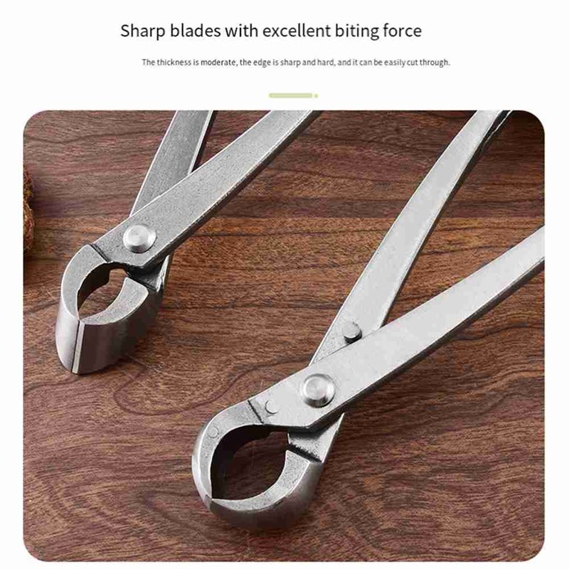 Conjunto de ferramentas para á - Root Hook Tool avaliação e preço
