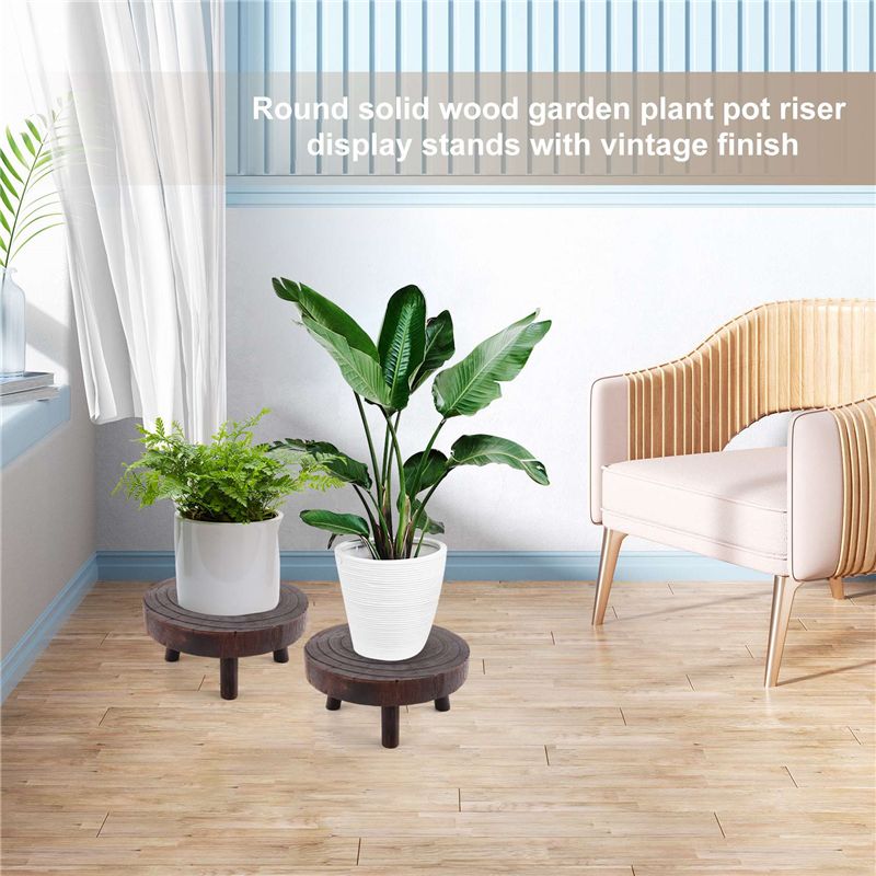 ABHU 2 Peças Mini Suporte de M - Bonsai Garden Display Stands avaliação e preço