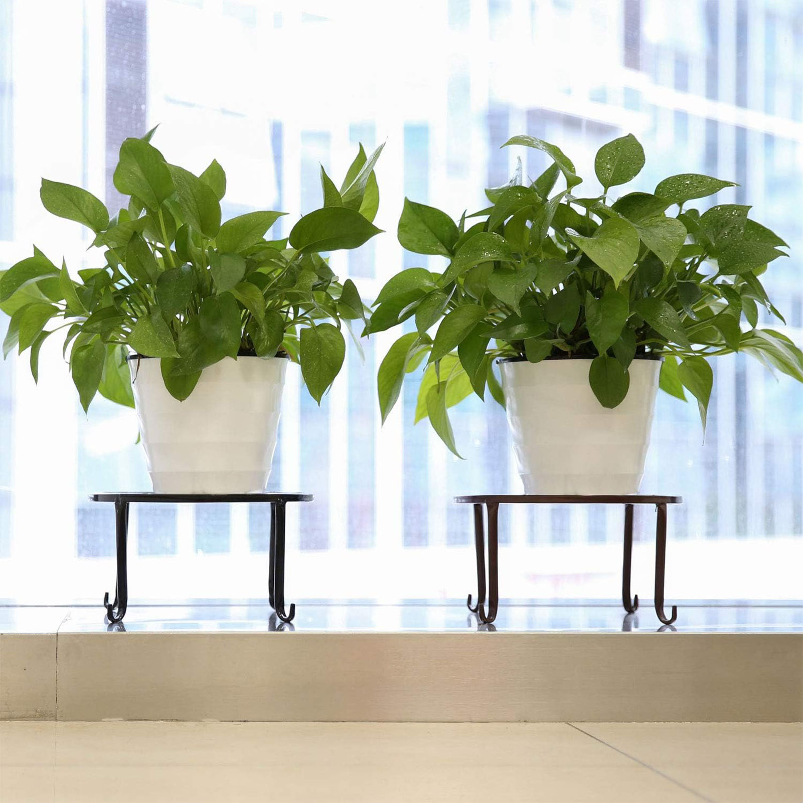 1pc metal planta suporte vaso  - Bonsai Garden Display Stands avaliação e preço