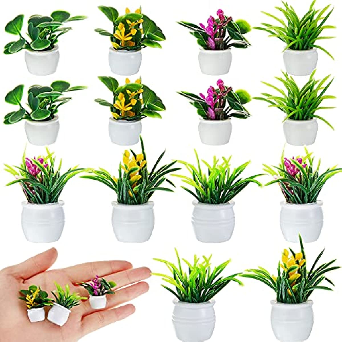 Planta de casa de bonecas, pla - Bonsai Garden Ideas avaliação e preço