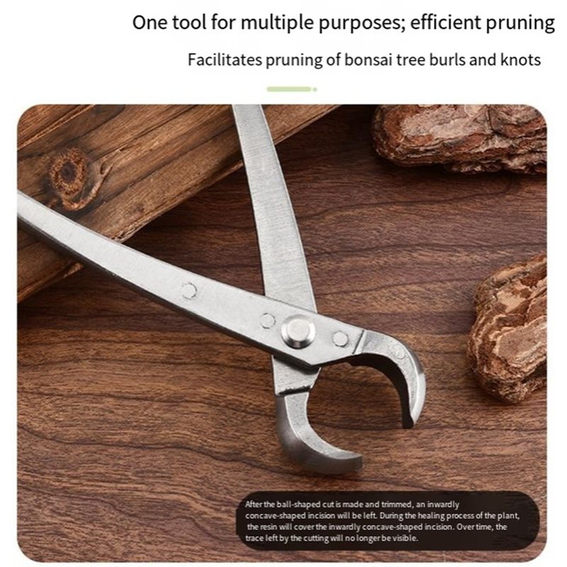 Ferramentas para Bonsai ABGH,  - Root Hook Tool avaliação e preço