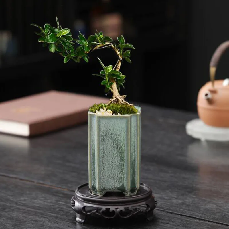 Vaso de Orquídea em Porcelana  - Bonsai Garden Art avaliação e preço