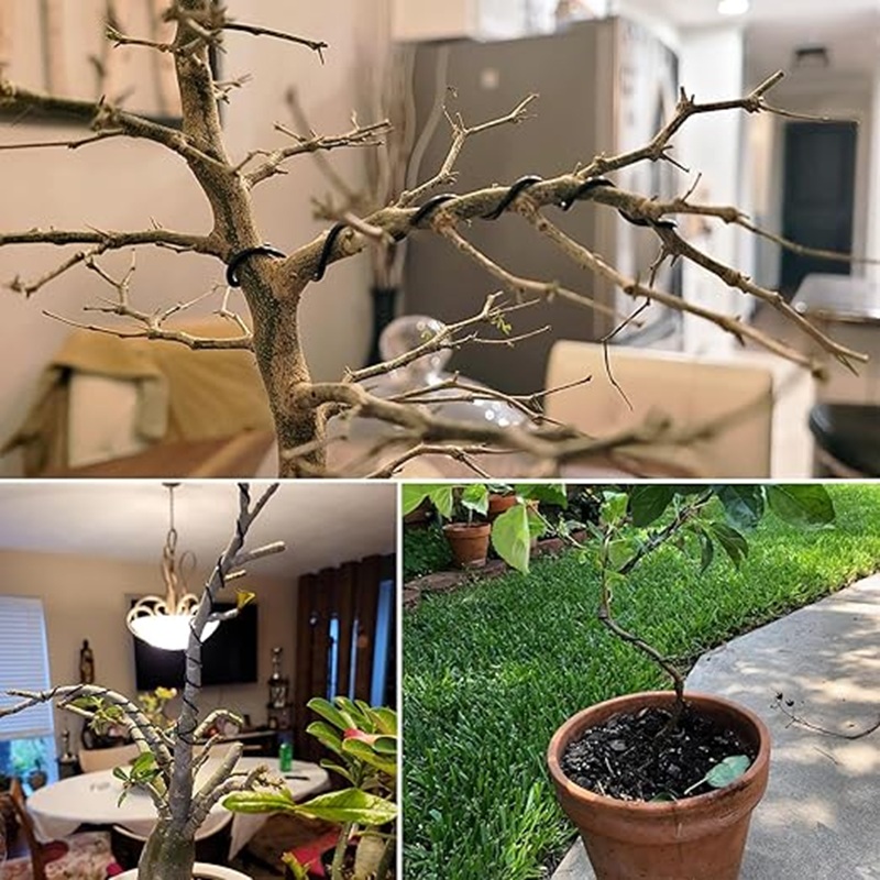 Fio de Alumínio Preto de 1mm p - Bonsai Garden Art avaliação e preço