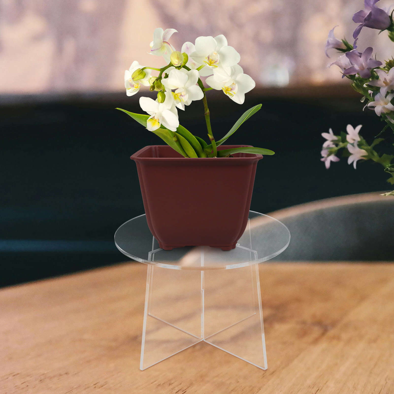 Suporte de Acrílico para Plant - Bonsai Garden Display Stands avaliação e preço