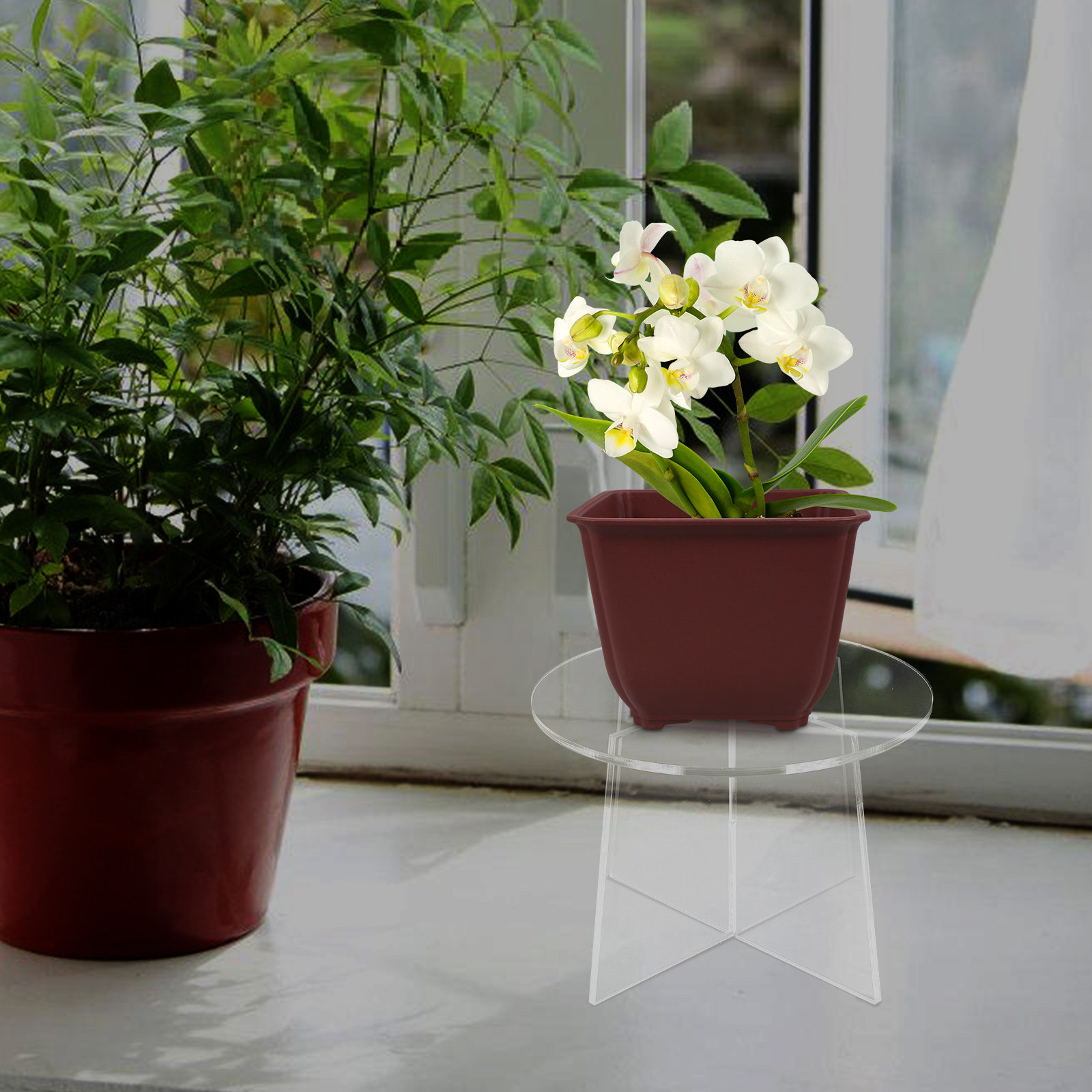 Suporte de Acrílico para Plant - Bonsai Garden Display Stands avaliação e preço