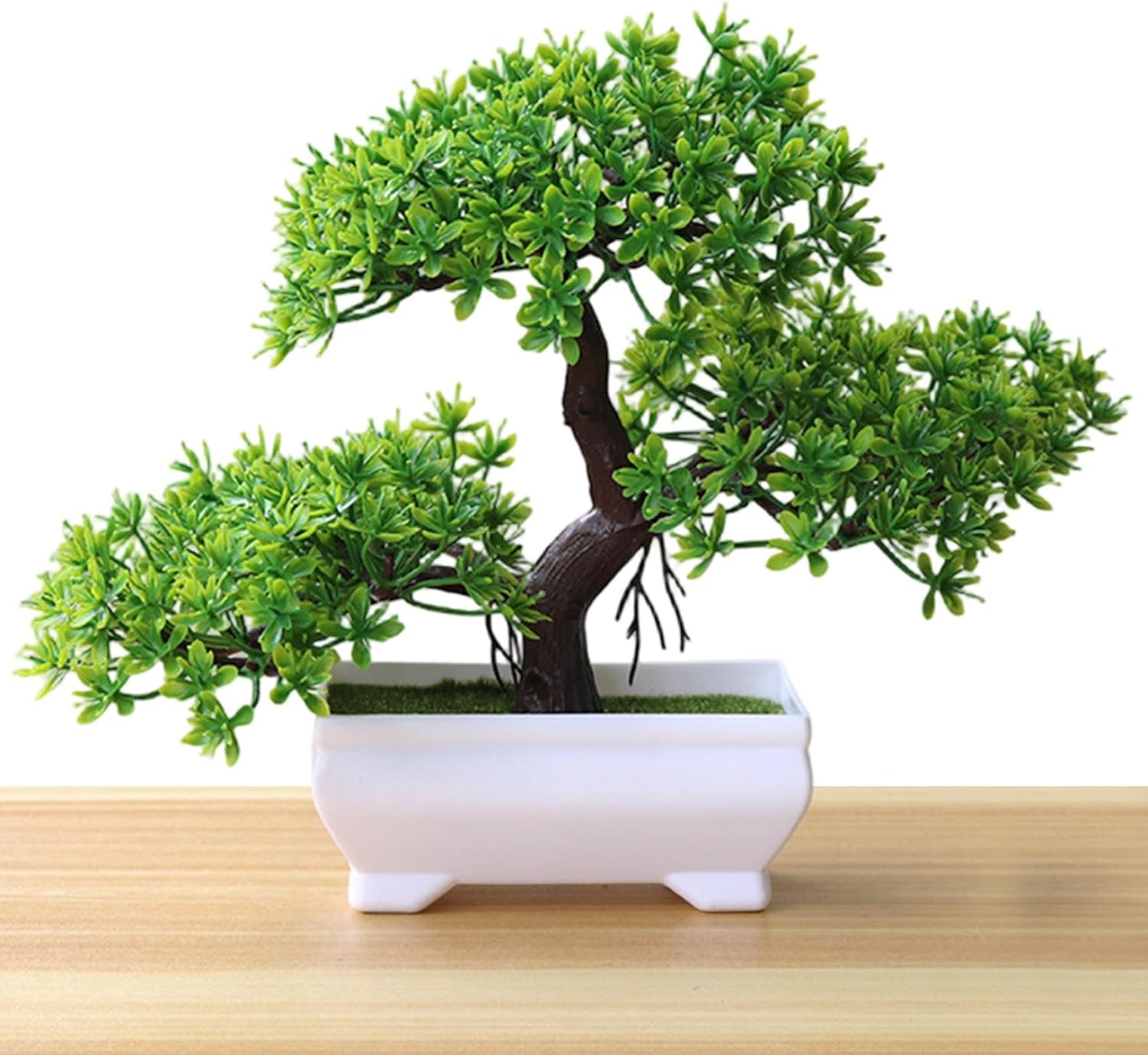 1/2 Peças de Árvore Bonsai Art - Bonsai Garden Ideas avaliação e preço